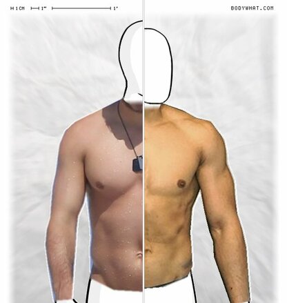 Torso Comparison