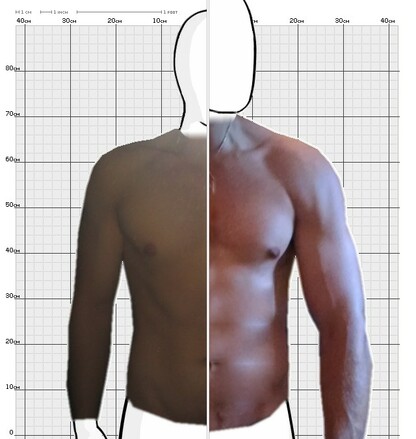 Torso Comparison