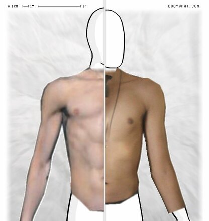 Torso Comparison