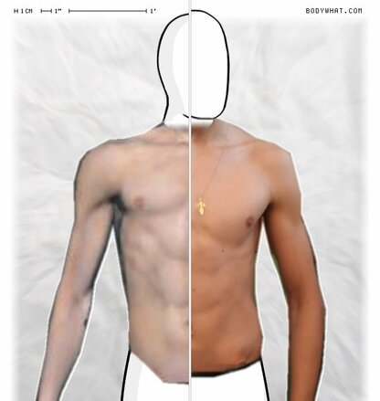 Torso Comparison