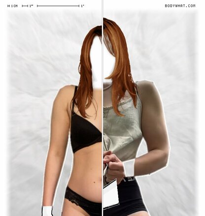 Torso Comparison