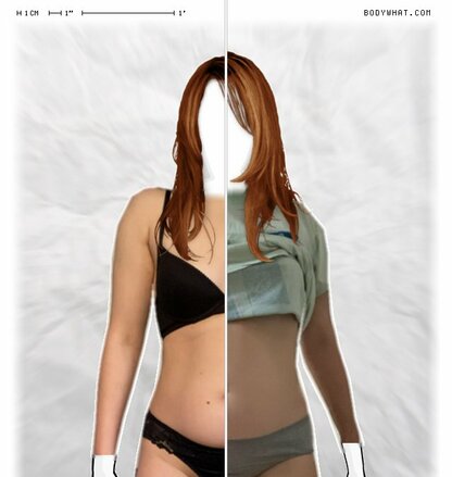 Torso Comparison