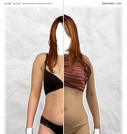 Torso Comparison