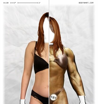 Torso Comparison
