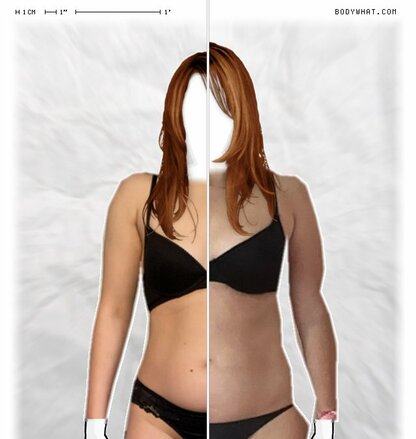 Torso Comparison