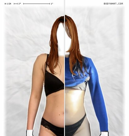 Torso Comparison