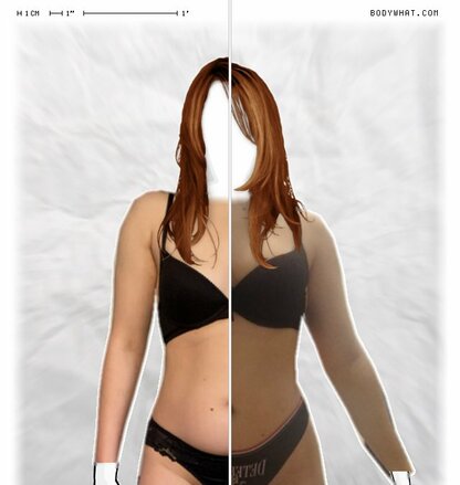 Torso Comparison