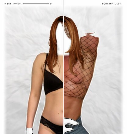 Torso Comparison