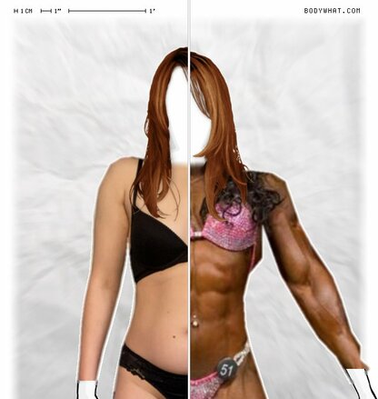 Torso Comparison