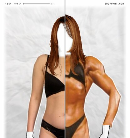 Torso Comparison