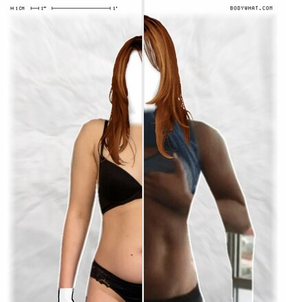 Torso Comparison