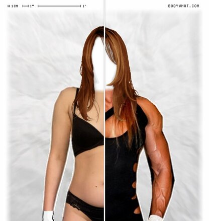 Torso Comparison