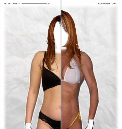 Torso Comparison