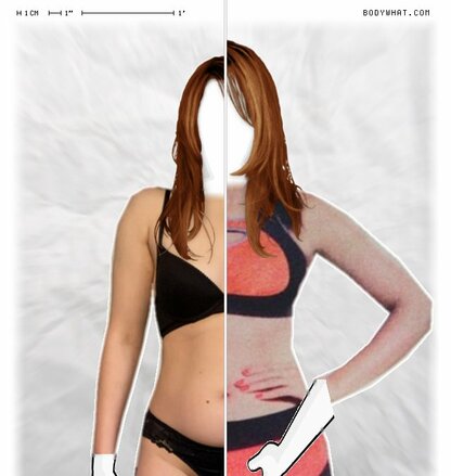 Torso Comparison