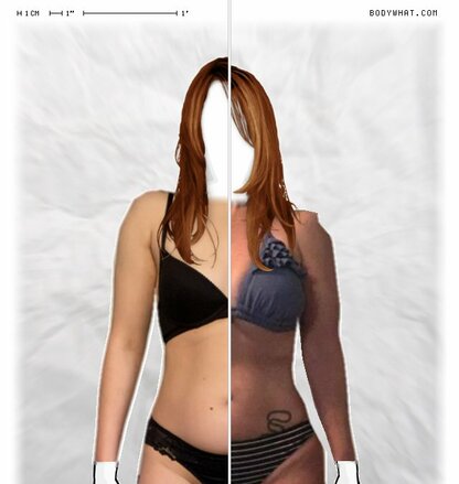 Torso Comparison