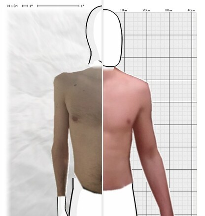 Torso Comparison