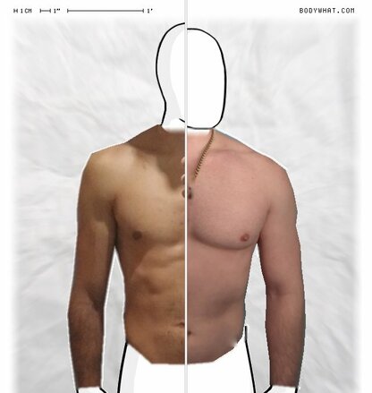 Torso Comparison