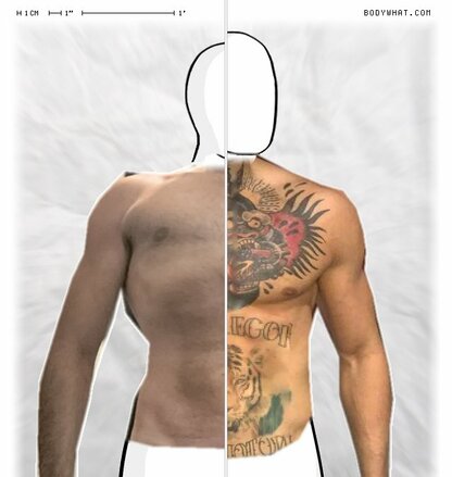 Torso Comparison