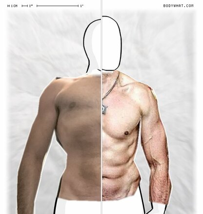 Torso Comparison