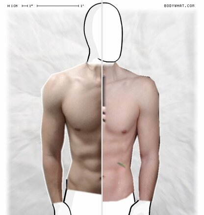 Torso Comparison