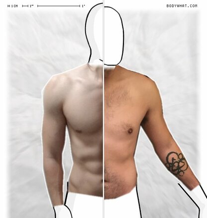 Torso Comparison