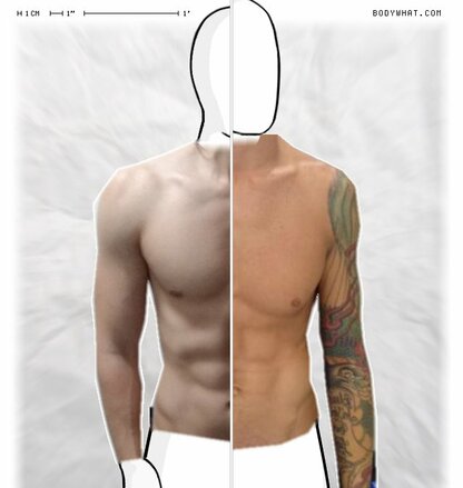 Torso Comparison