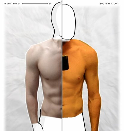 Torso Comparison