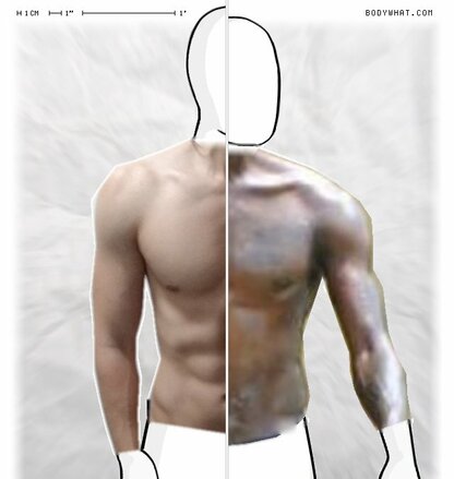 Torso Comparison