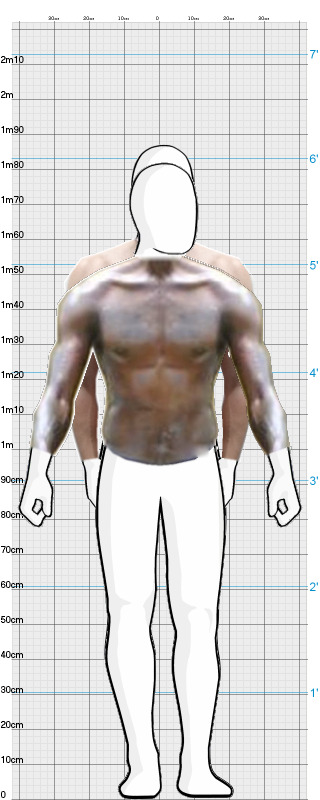 Full Size Comparison