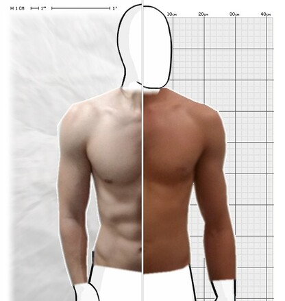 Torso Comparison