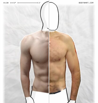 Torso Comparison