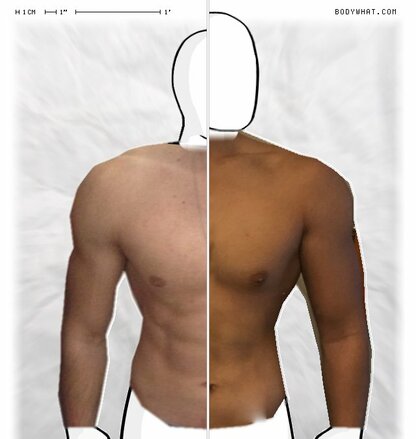 Torso Comparison