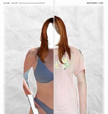 Torso Comparison