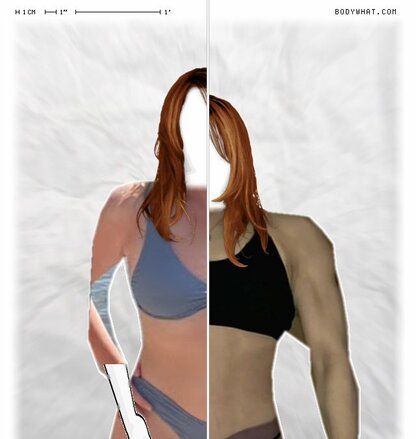 Torso Comparison