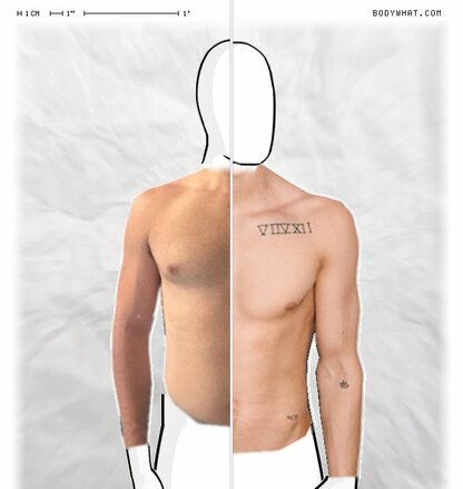 Torso Comparison