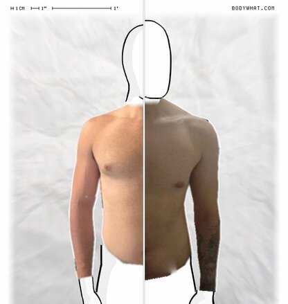 Torso Comparison