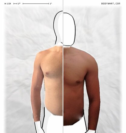 Torso Comparison