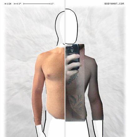 Torso Comparison