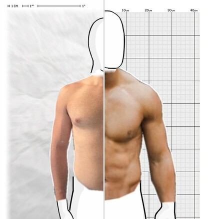 Torso Comparison