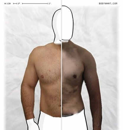 Torso Comparison