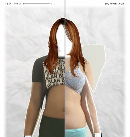 Torso Comparison