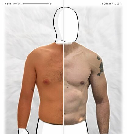 Torso Comparison