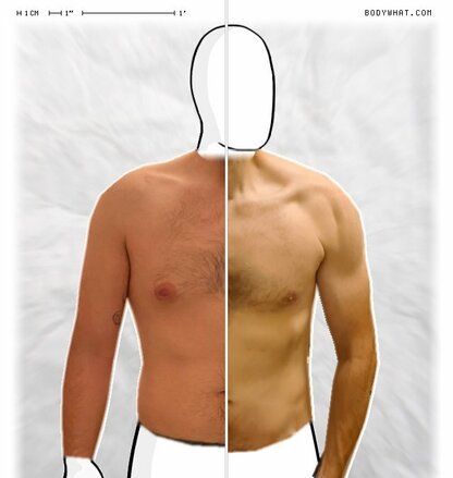 Torso Comparison