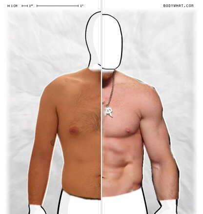 Torso Comparison