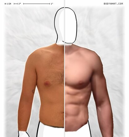 Torso Comparison