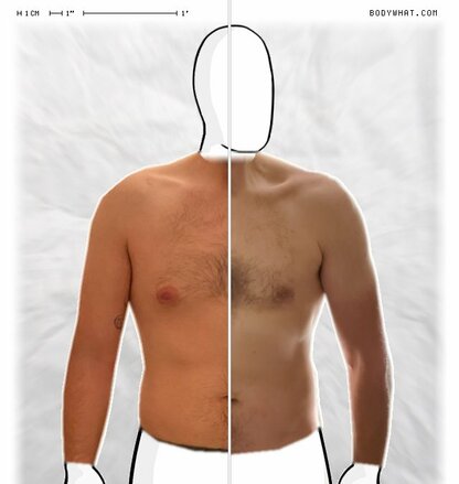 Torso Comparison