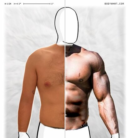 Torso Comparison