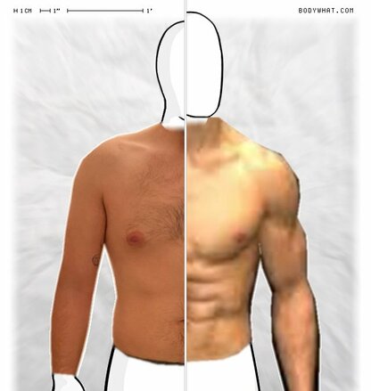 Torso Comparison