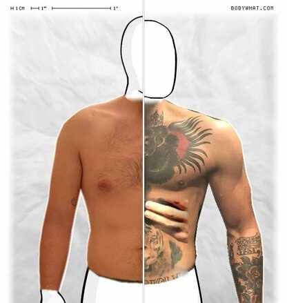 Torso Comparison