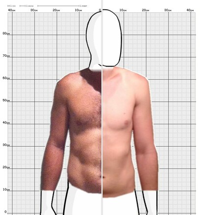 Torso Comparison